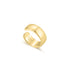 Gold Daily Ear Cuff