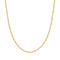 Gold Shiny Curb Necklace