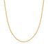 Gold Shiny Curb Necklace