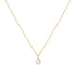 Gold Shell Pearl Drop Pendant Necklace