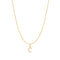 Gold Letter C Initial Necklace