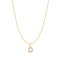 Gold Letter D Initial Necklace