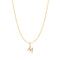 Gold Letter M Initial Necklace