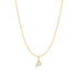 Gold Letter P Initial Necklace