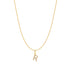 Gold Letter R Initial Necklace