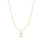 Gold Letter Z Initial Necklace