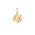 Gold N Letter Charm
